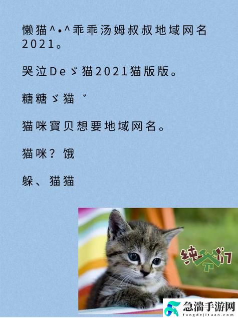 猫咪最新永久地域网名是什么