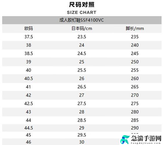 欧洲尺码日本尺码专MBA智库